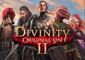 Divinity: Original Sin 2 EN/DE/FR/RU Global GOG Digital Key