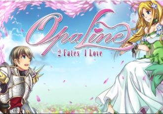 Opaline EN Global Steam Digital Key