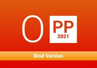 MS Office Professional Plus 2021 Bind Version Global MS Products Digital Key
