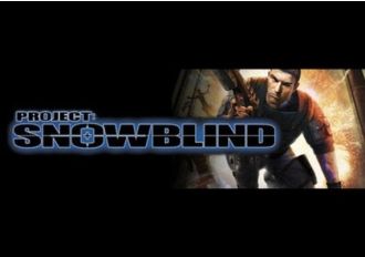 Project: Snowblind EN Global Steam Digital Key