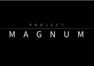 Project Magnum PRE-ORDER EN Global Steam Digital Key