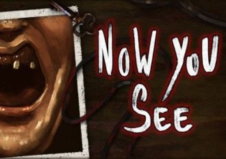 Now You See EN Global Steam Digital Key