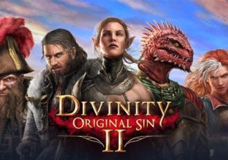 Divinity: Original Sin 2 - Divine Ascension DLC EN Global GOG Digital Key