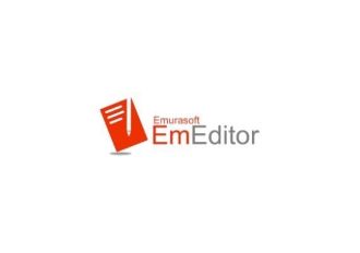 EmEditor Professional 22 EN Global Software License Digital Key