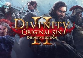 Divinity: Original Sin 2 Definitive Edition EN/DE/FR/RU EU GOG Digital Key