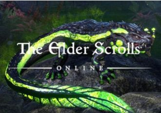 TESO The Elder Scrolls Online - Newcomer Pack DLC EN Argentina Xbox One/Series Digital Key
