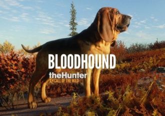 theHunter: Call of the Wild - Bloodhound DLC EN EU Xbox One/Series Digital Key