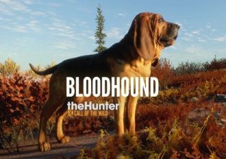 theHunter: Call of the Wild - Bloodhound DLC Global Steam Digital Key
