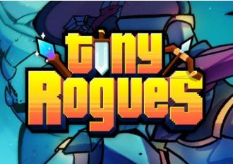 Tiny Rogues EN Global Steam Digital Key