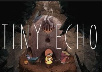 Tiny Echo EN Global Steam Digital Key
