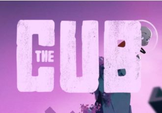 The Cub Global Steam Digital Key