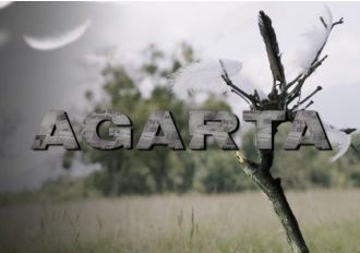 Agarta EN/TR Global Steam Digital Key