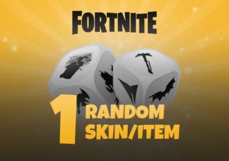 Fortnite - Random Skin/Item x1 DLC EN Global Epic Games Digital Key