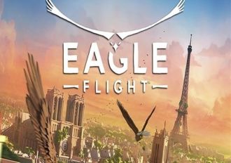 Eagle Flight Global Steam Digital Key