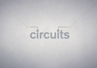 Circuits EN/FR/IT/PL/RU/ZH/ES Global Steam Digital Key