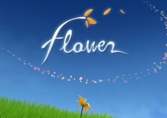 Flower Global Steam Digital Key