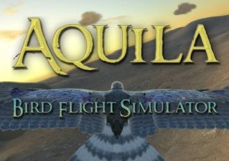 Aquila Bird Flight Simulator EN Global Steam Digital Key