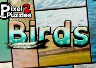 Pixel Puzzles 2: Birds EN Global Steam Digital Key