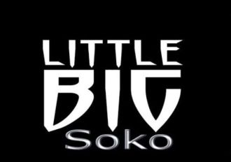 LittleBigSoko EN Global Steam Digital Key