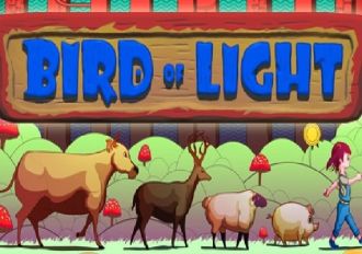 Bird of Light EN Global Steam Digital Key