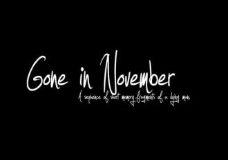 Gone In November EN Global Steam Digital Key