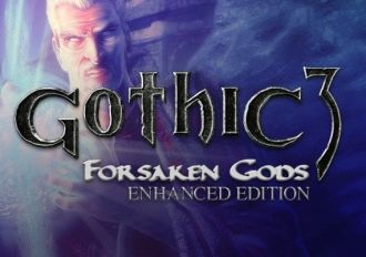 Gothic 3: Forsaken Gods Enhanced Edition EN/DE/FR/IT/ES EU Steam Digital Key