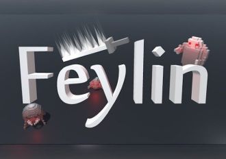 Feylin Global Steam Digital Key