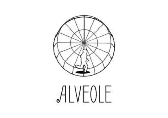 Alveole EN Argentina Xbox Series Digital Key