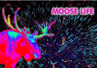 Moose Life EN Global Steam Digital Key