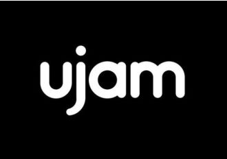 UJAM Virtual Bassist Rowdy 2 Voucher EN Global Software License Digital Key