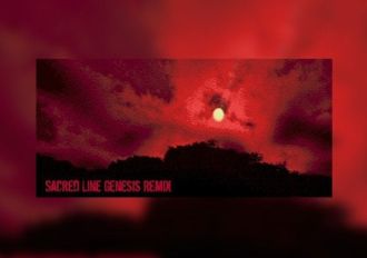 SLG Remix EN Global Steam Digital Key