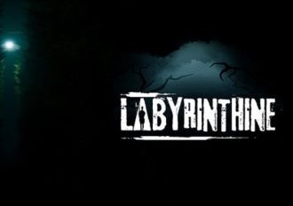 Labyrinthine EN/DE/FR/NL EU Steam Digital Key