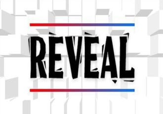 Reveal EN Global Steam Digital Key