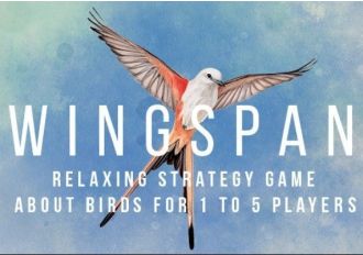 Wingspan Global Steam Digital Key
