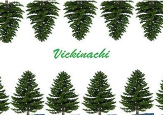 Vickinachi EN Global Steam Digital Key