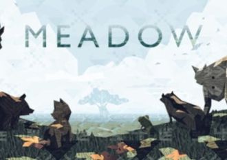 Meadow EN Global Steam Digital Key