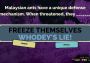 The Jackbox Party Pack 2 EN EU Steam Digital Key