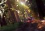 V-Rally 4 Day One Edition Global Steam Digital Key