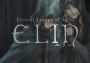 Elin Global Steam Digital Key