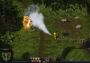 Magicka: Wizard Wars Paradox Platypus Robe EN/DE/FR Global Steam Digital Key
