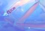 InnerSpace Global Steam Digital Key