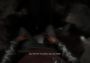 Gridberd EN/DE/FR/IT/ES Global Steam Digital Key
