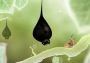 Botanicula Collector's Edition Global Steam Digital Key