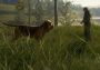 theHunter: Call of the Wild - Bloodhound DLC EU Steam Digital Key