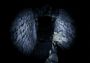 Unnatural Investigations EN Global Steam Digital Key