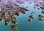 Renaissance Kingdom Wars EN/DE/FR/IT/PT/ZH/ES Global Steam Digital Key