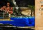 The Odyssey EN/DE/FR/RU/ES/EL Global Steam Digital Key