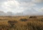 theHunter: Call of the Wild - Emerald Coast Cosmetic Pack DLC Global Steam Digital Key