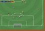 Tiny Football Global Steam Digital Key