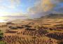 Total War Saga: Troy Limited Edition EU Epic Games Digital Key